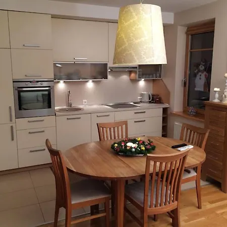 Sv. Stepono 29 公寓 维尔纽斯